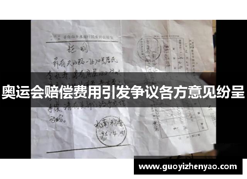 奥运会赔偿费用引发争议各方意见纷呈