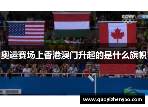 奥运赛场上香港澳门升起的是什么旗帜 奥运赛场上香港澳门升起的是什么旗帜
